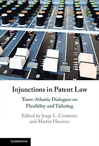 Injunctions Patent Law: Trans-Atlantic Dialogues on Flexibility and Tailoring