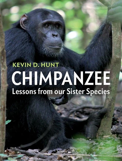 Chimpanzee: Lessons from our Sister Species