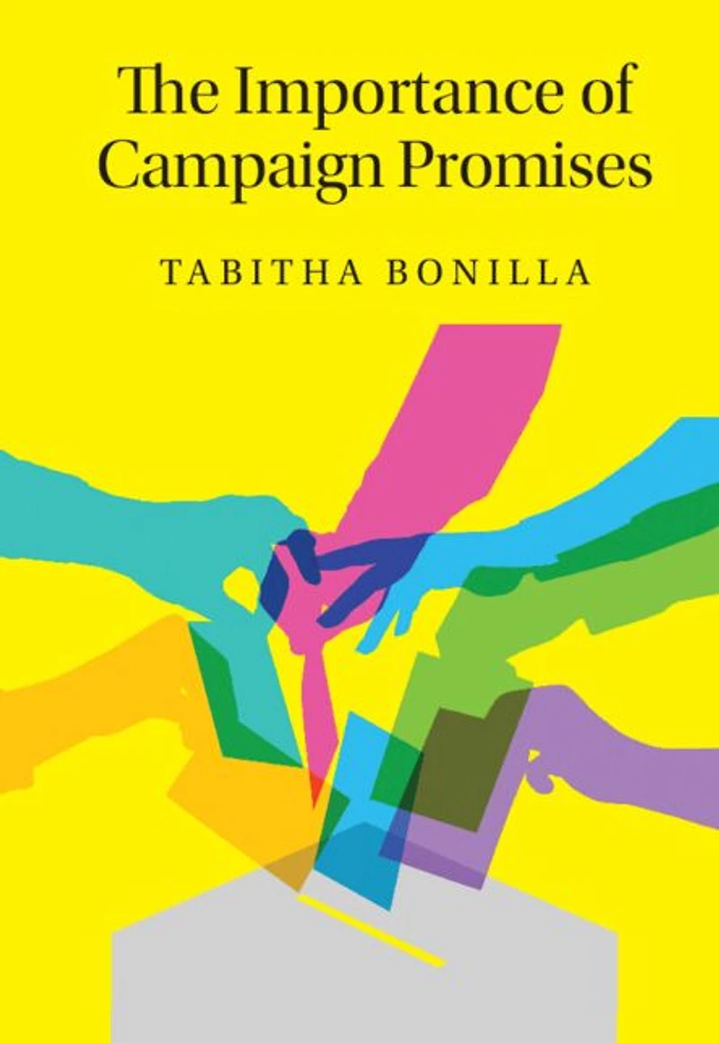 The Importance of Campaign Promises
