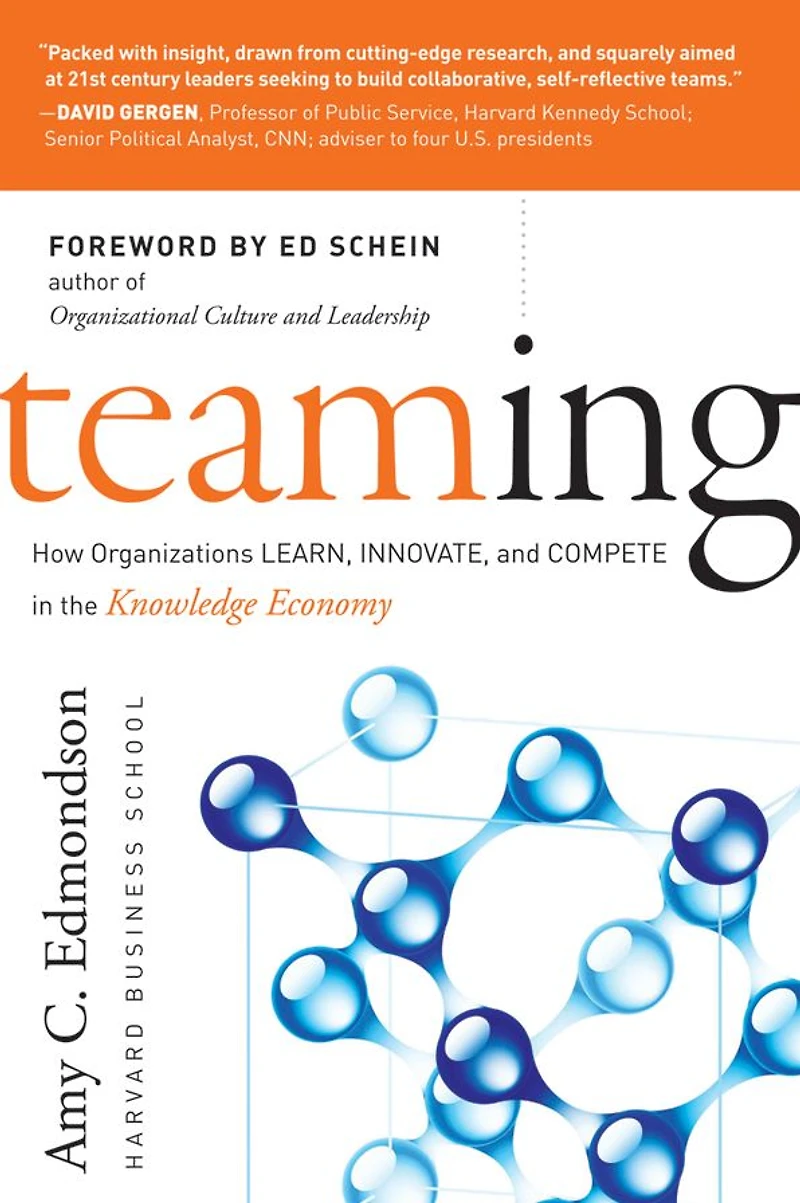 Teaming: How Organizations Learn, Innovate, and Compete the Knowledge Economy