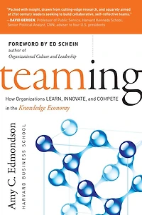 Teaming: How Organizations Learn, Innovate, and Compete the Knowledge Economy