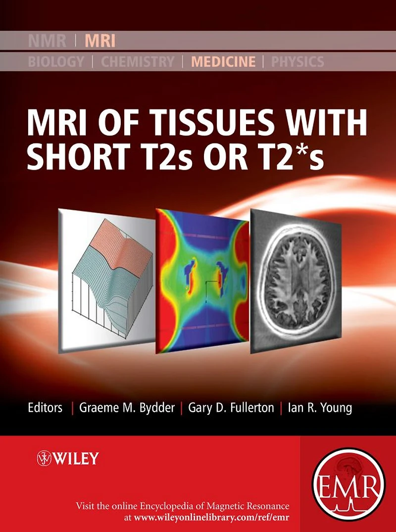MRI of Tissues with Short T2s or T2*s