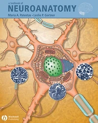 A Textbook of Neuroanatomy