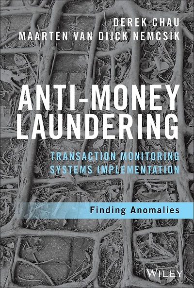 Anti-Money Laundering Transaction Monitoring Systems Implementation: Finding Anomalies
