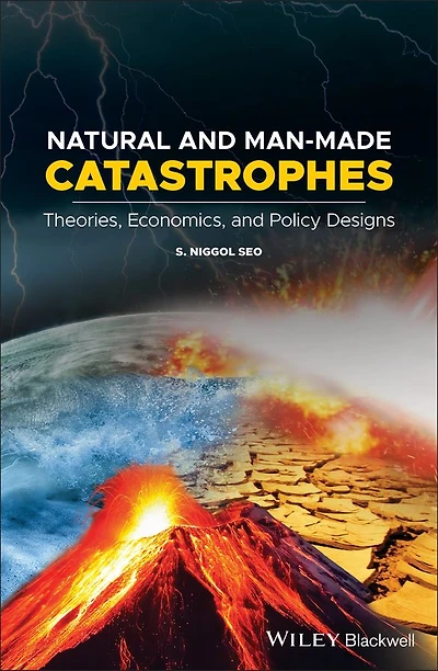 Natural and Man-Made Catastrophes: Theories, Economics, Policy Designs