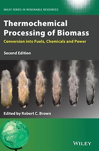 Thermochemical Processing of Biomass: Conversion into Fuels, Chemicals and Power