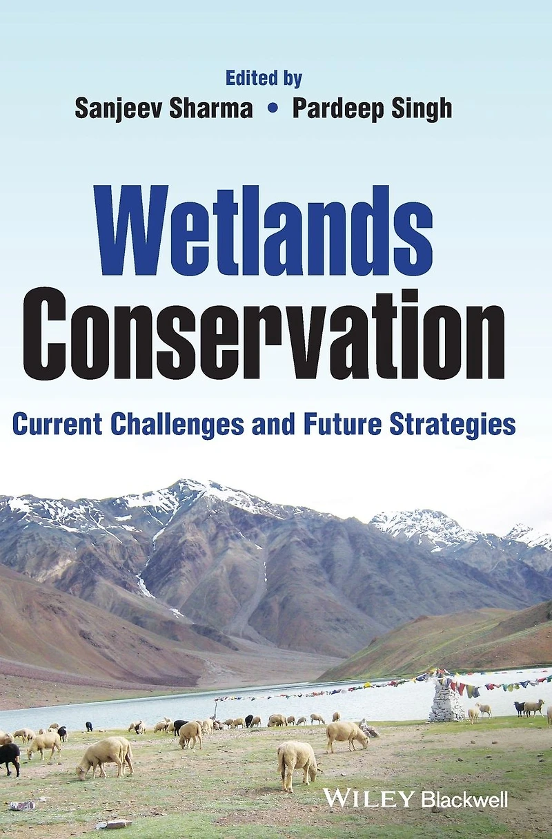 Wetlands Conservation: Current Challenges and Future Strategies