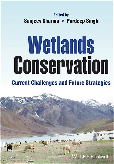 Wetlands Conservation: Current Challenges and Future Strategies
