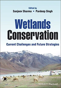 Wetlands Conservation: Current Challenges and Future Strategies