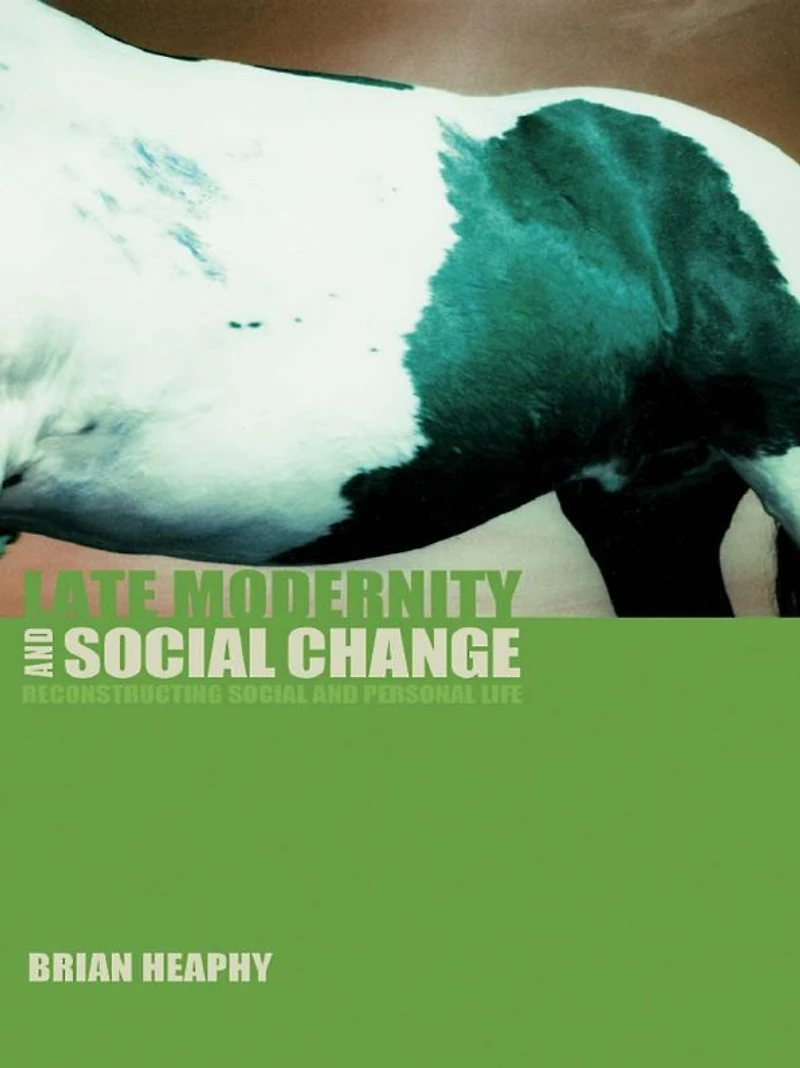 Late Modernity and Social Change: Reconstructing Personal Life