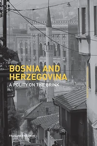 Bosnia and Herzegovina: A Polity on the Brink