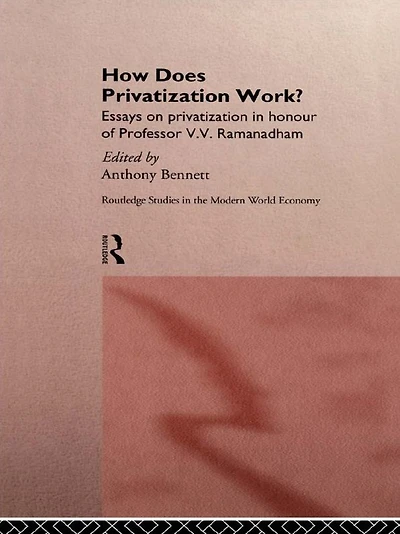 How Does Privatization Work?