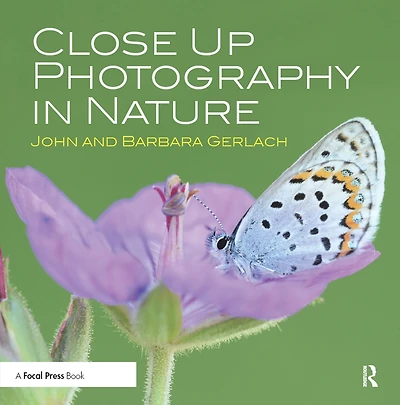 Close Up Photography Nature