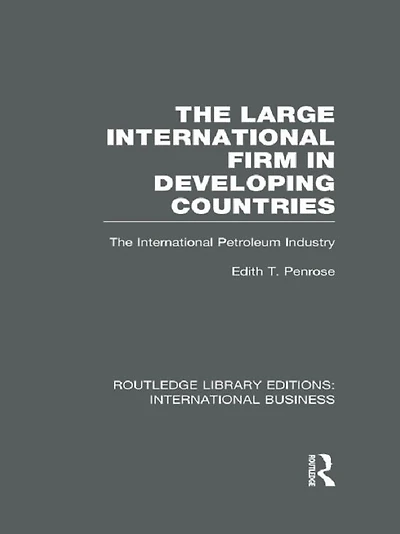 The Large International Firm (RLE Business)