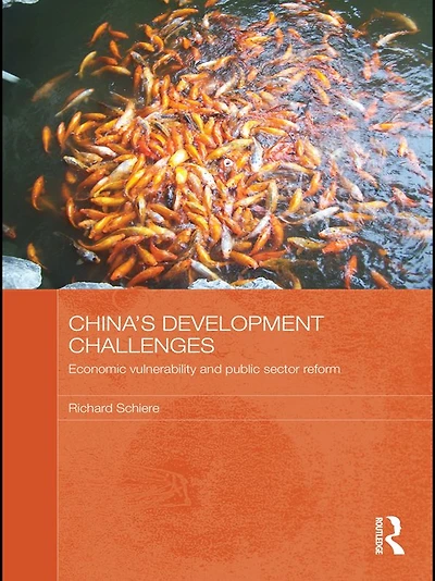 China's Development Challenges: Economic Vulnerability and Public Sector Reform