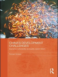 China's Development Challenges: Economic Vulnerability and Public Sector Reform