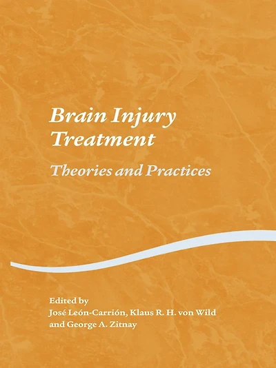 Brain Injury Treatment: Theories and Practices
