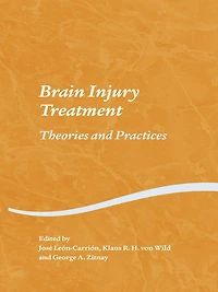 Brain Injury Treatment: Theories and Practices