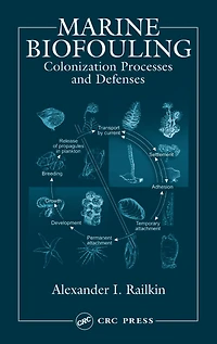 Marine Biofouling: Colonization Processes and Defenses