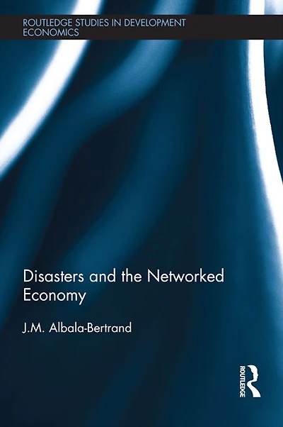 Disasters and the Networked Economy