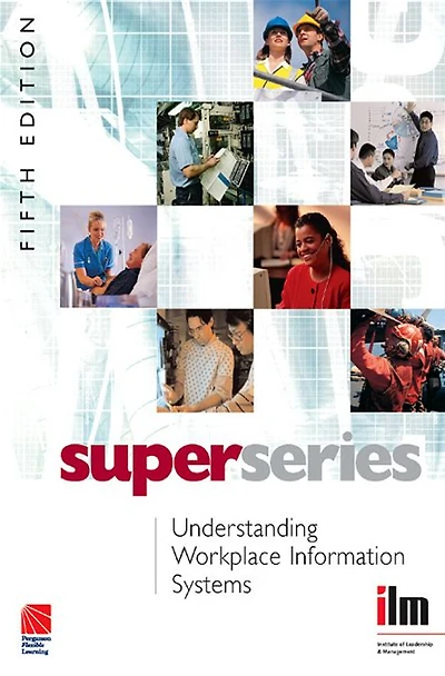 Understanding Workplace Information Systems