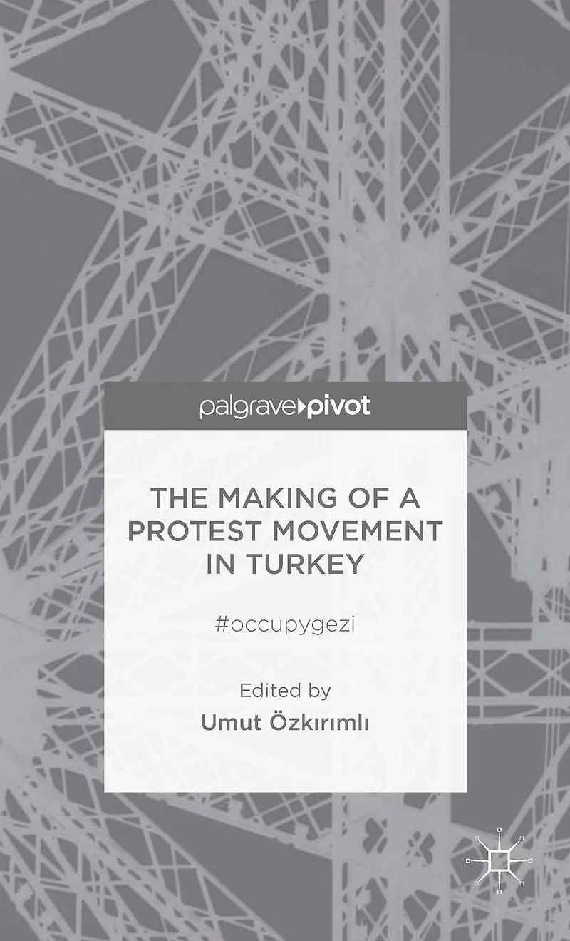 The Making of a Protest Movement Turkey: #occupygezi