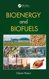 Bioenergy and Biofuels
