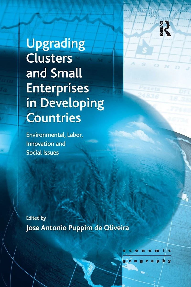 Upgrading Clusters and Small Enterprises Developing Countries: Environmental, Labor, Innovation Social Issues