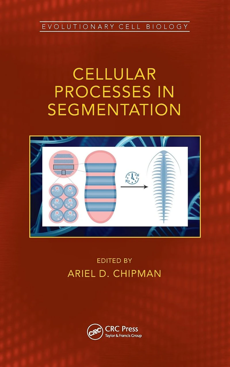 Cellular Processes Segmentation
