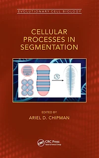 Cellular Processes Segmentation