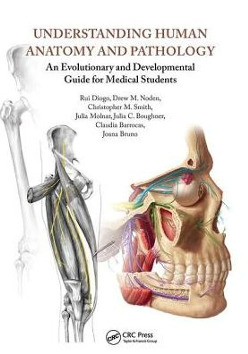 Understanding Human Anatomy and Pathology: An Evolutionary Developmental Guide for Medical Students