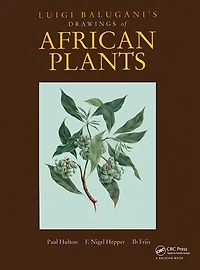 Luigi Balugani's Drawings of African Plants
