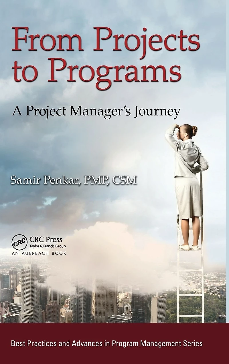 From Projects to Programs: A Project Manager's Journey