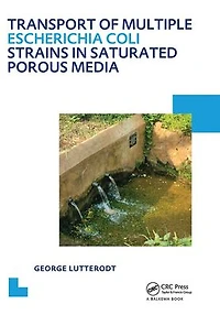 Transport of multiple Escherichia coli strains saturated porous media: UNESCO-IHE PhD Thesis