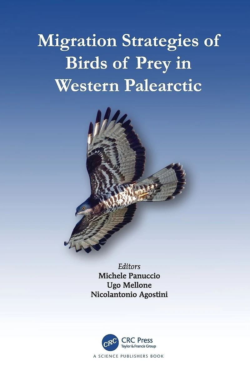 Migration Strategies of Birds Prey Western Palearctic
