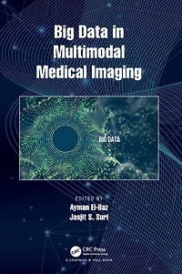 Big Data Multimodal Medical Imaging