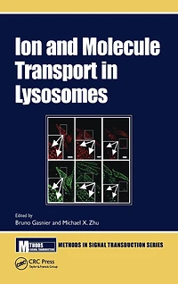 Ion and Molecule Transport Lysosomes