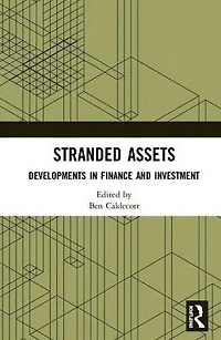 Stranded Assets: Developments Finance and Investment
