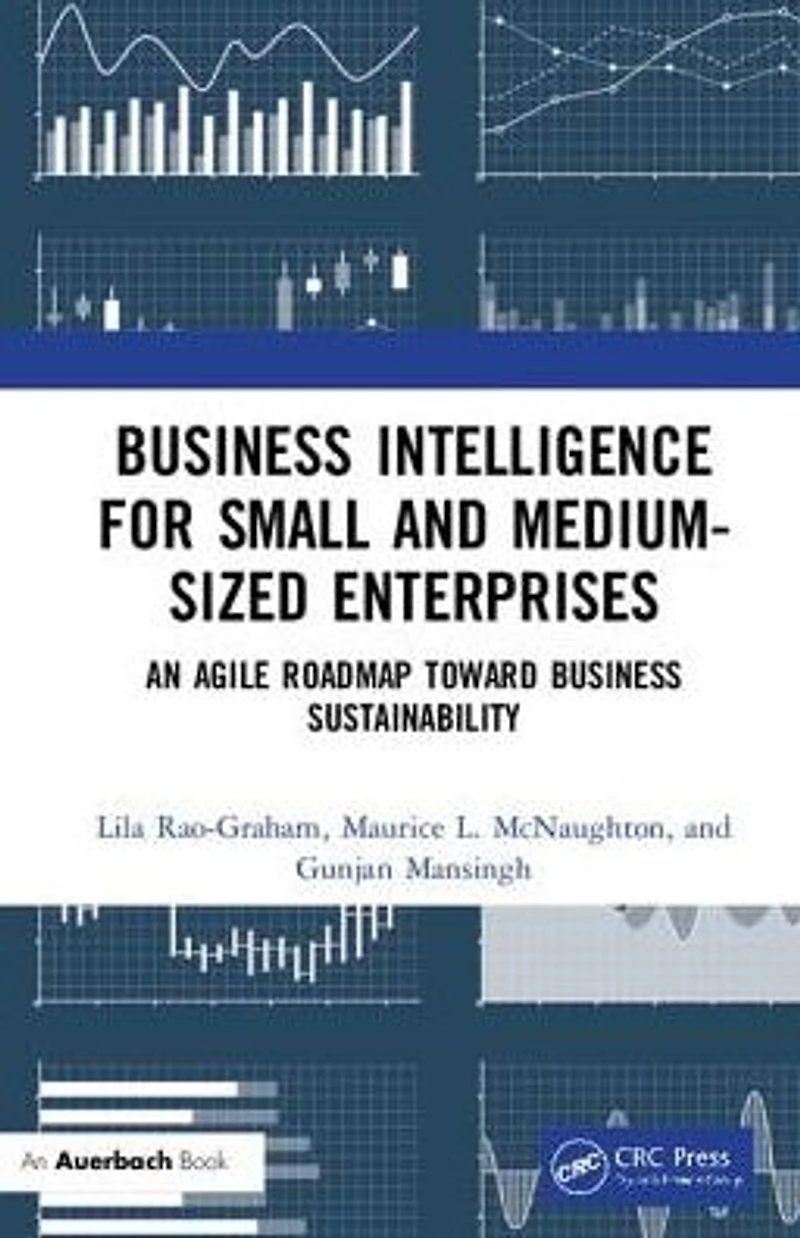 Business Intelligence for Small and Medium-Sized Enterprises: An Agile Roadmap toward Sustainability