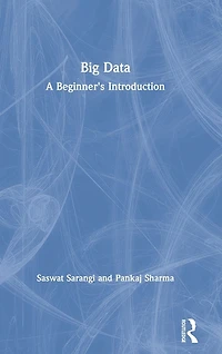 Big Data: A Beginner's Introduction