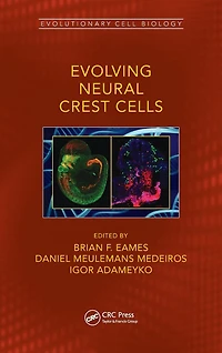 Evolving Neural Crest Cells