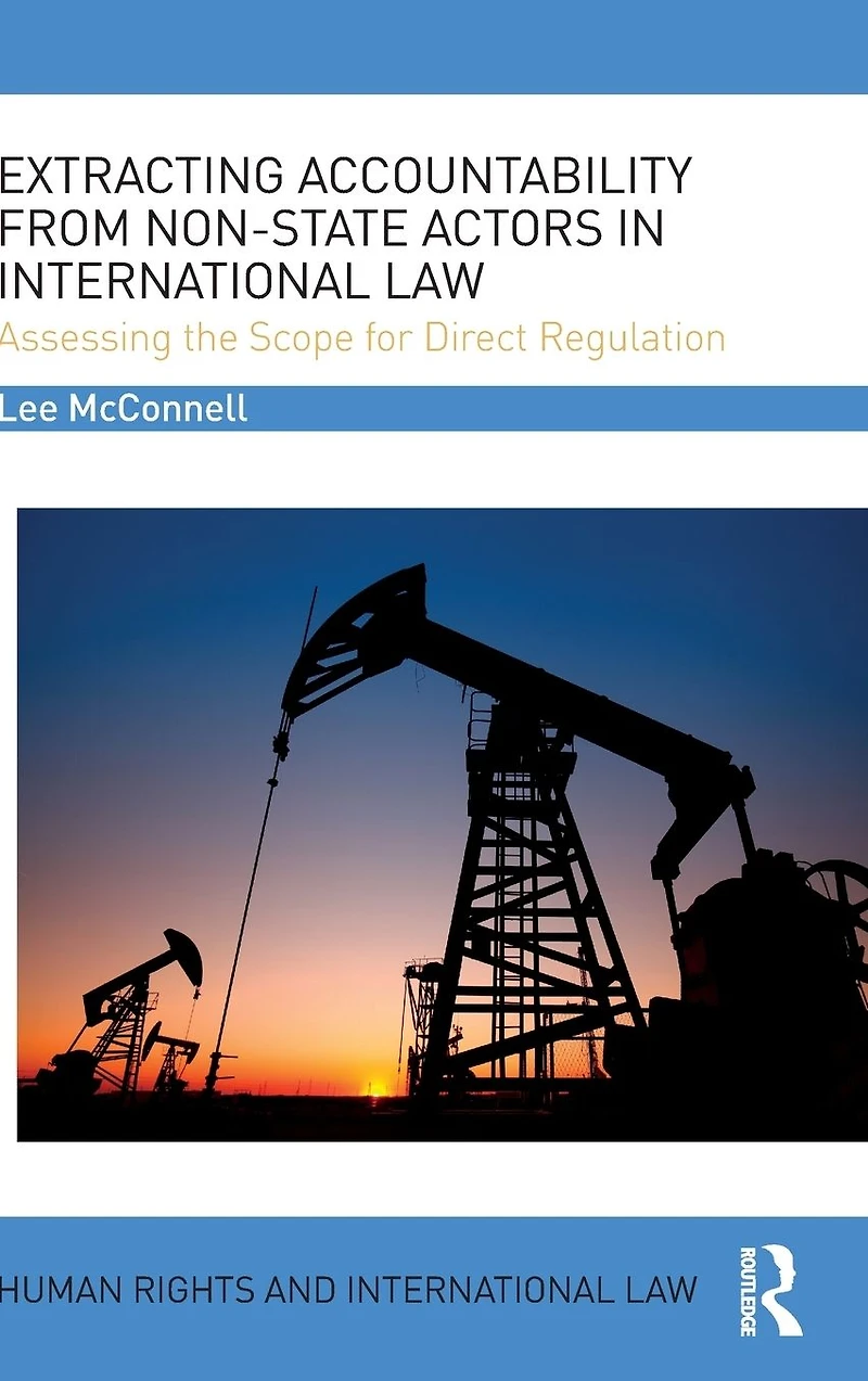 Extracting Accountability from Non-State Actors International Law: Assessing the Scope for Direct Regulation