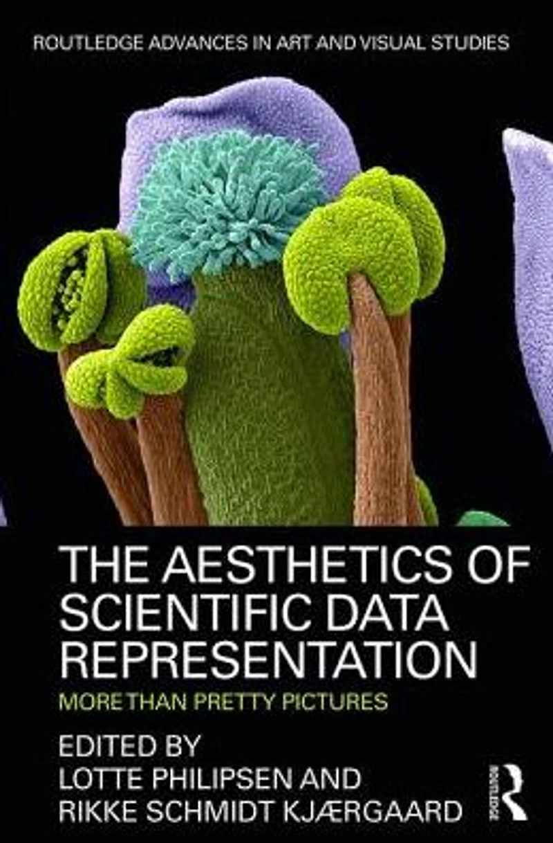 The Aesthetics of Scientific Data Representation: More than Pretty Pictures