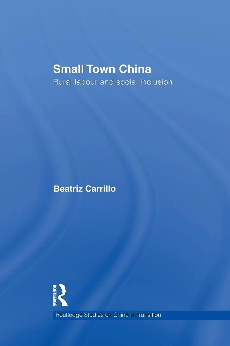 Small Town China: Rural Labour and Social Inclusion