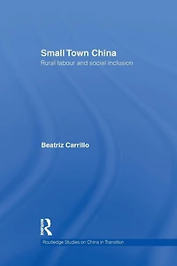 Small Town China: Rural Labour and Social Inclusion