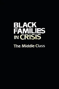 Black Families Crisis: The Middle Class