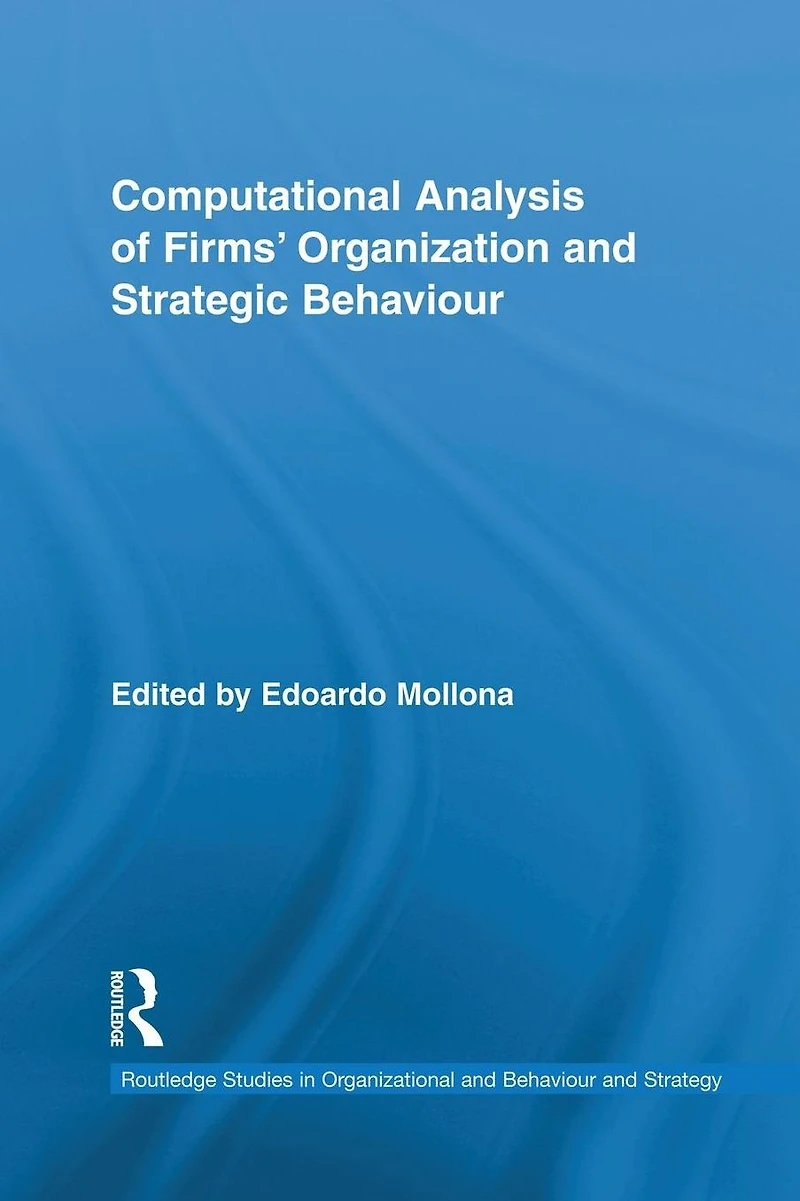 Computational Analysis of Firms' Organization and Strategic Behaviour
