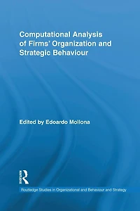 Computational Analysis of Firms' Organization and Strategic Behaviour