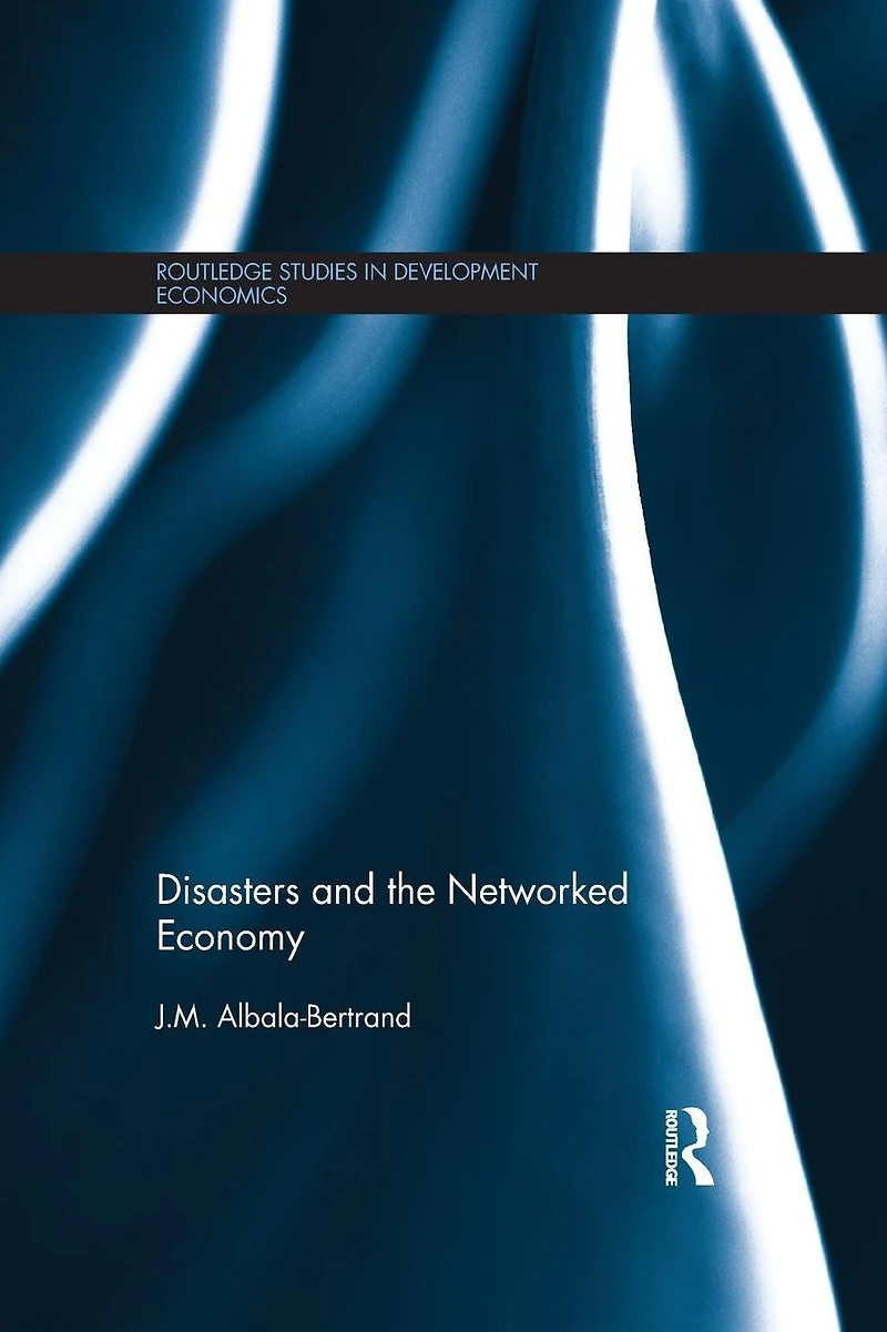 Disasters and the Networked Economy