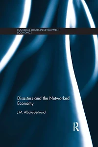 Disasters and the Networked Economy
